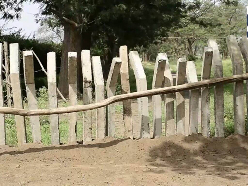 Habari - Screenshot_20260131_122819_YouTube Habari Picha 6568