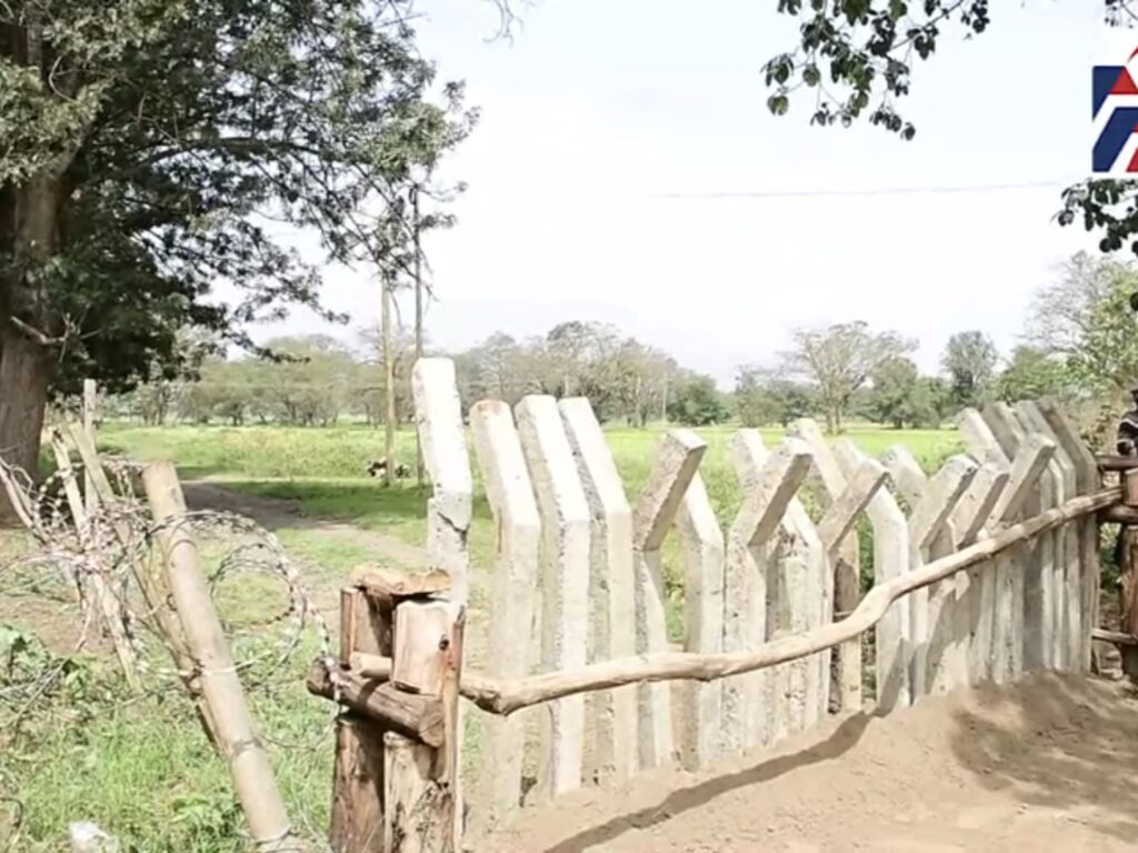 Habari - Screenshot_20260131_122841_YouTube Habari Picha 6570